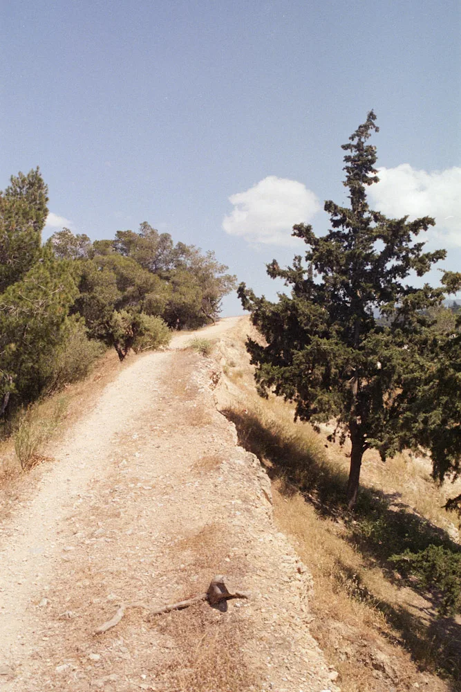 A photograph by Ali Bosworth in the selection Athens