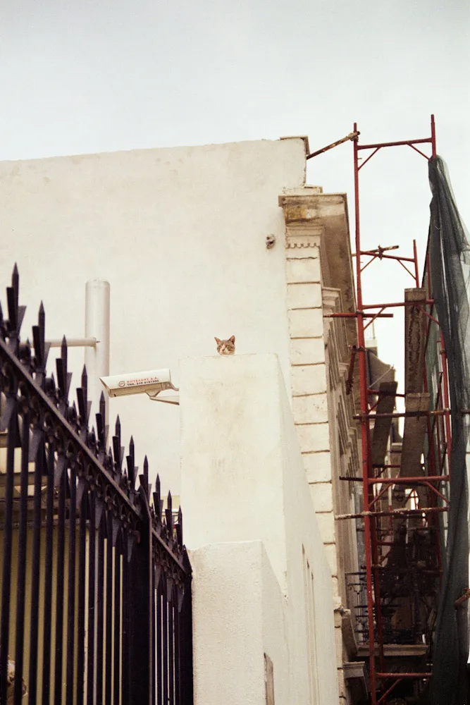 A photograph by Ali Bosworth in the selection Athens
