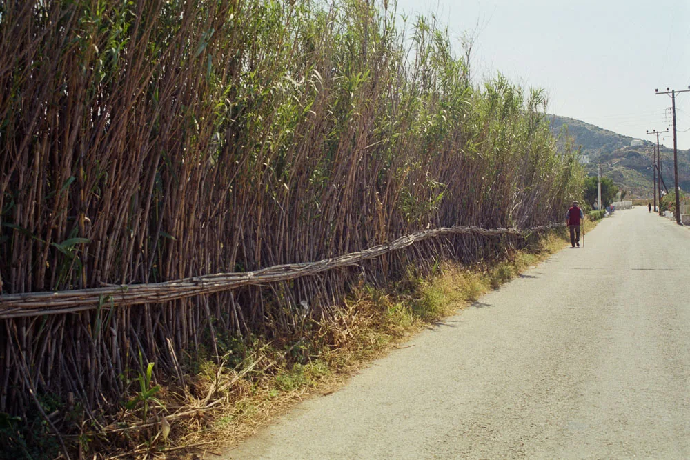 A photograph by Ali Bosworth in the selection Milos