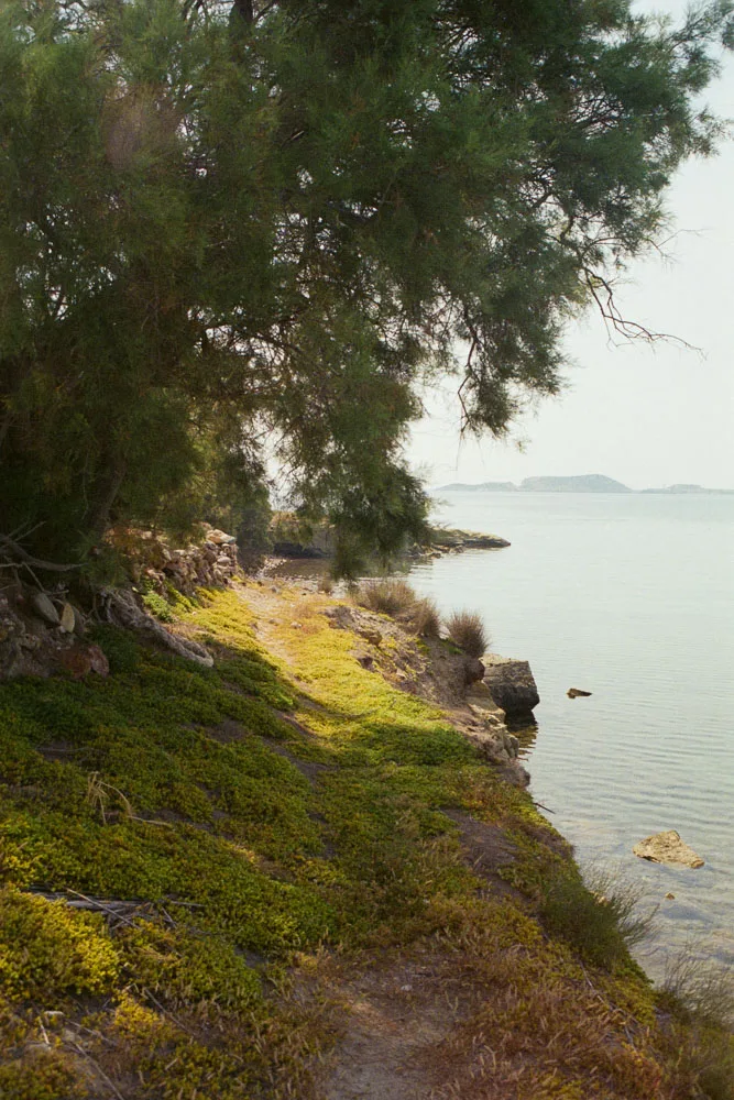 A photograph by Ali Bosworth in the selection Milos