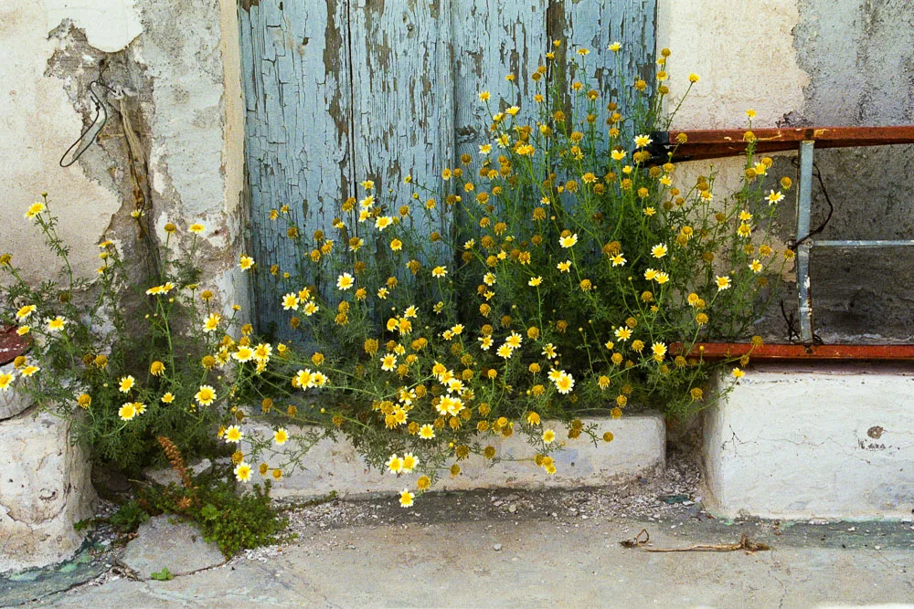 A photograph by Ali Bosworth in the selection Milos