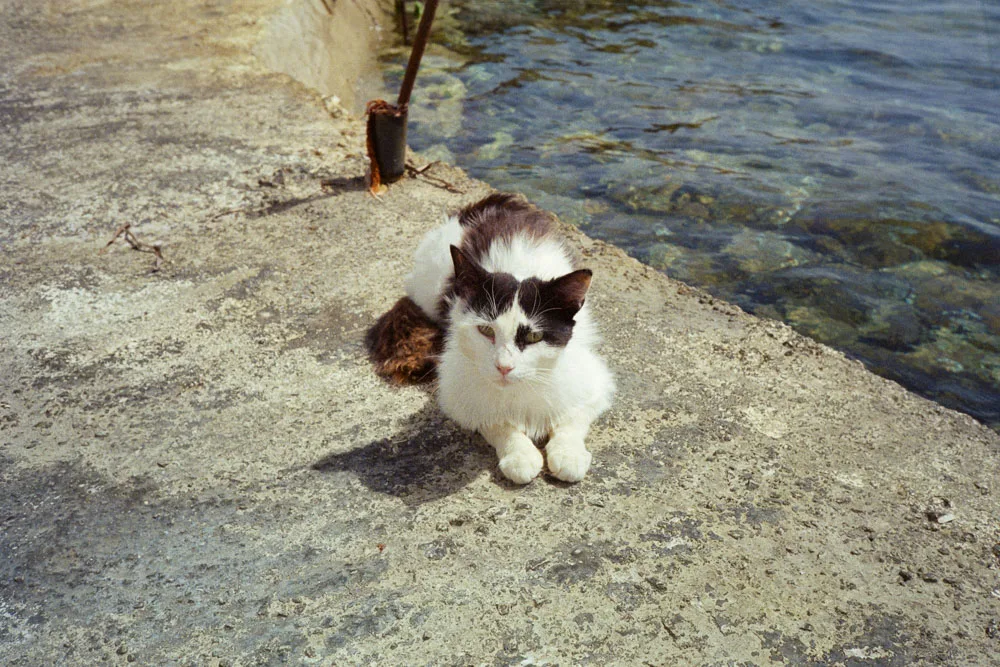 A photograph by Ali Bosworth in the selection Milos