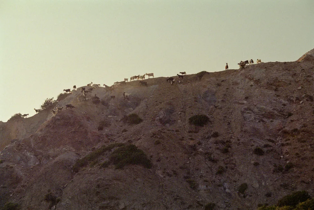 A photograph by Ali Bosworth in the selection Milos