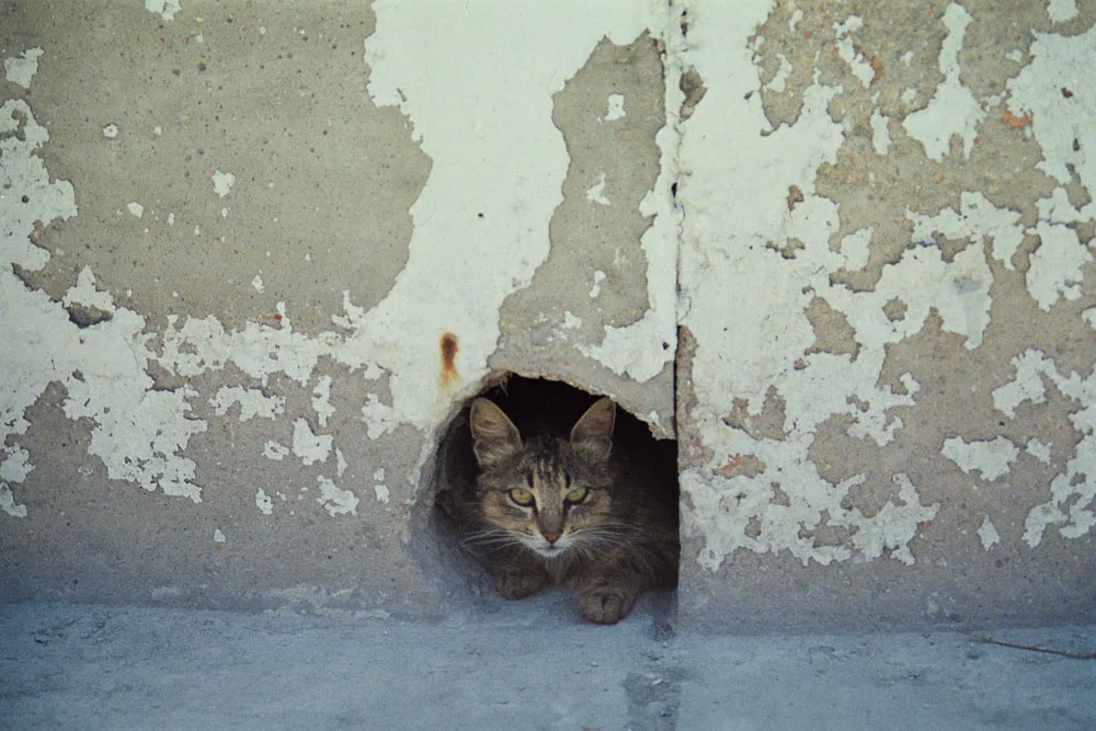 A photograph by Ali Bosworth in the selection Serifos