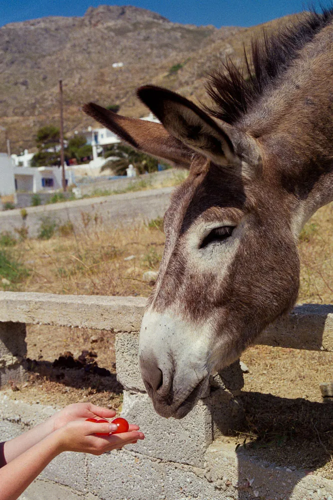 A photograph by Ali Bosworth in the selection Serifos