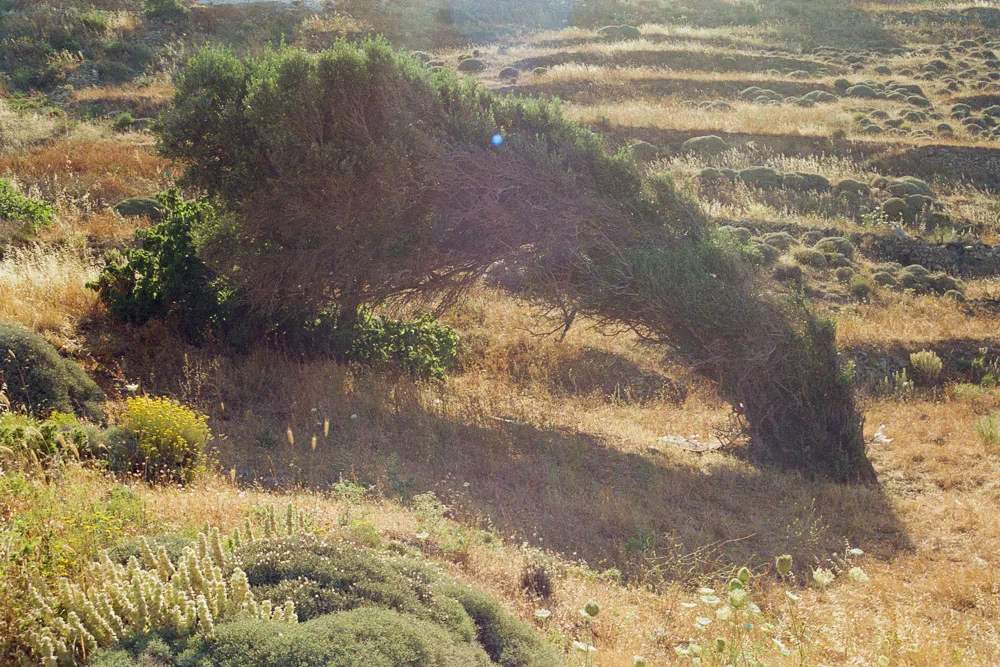 A photograph by Ali Bosworth in the selection Serifos