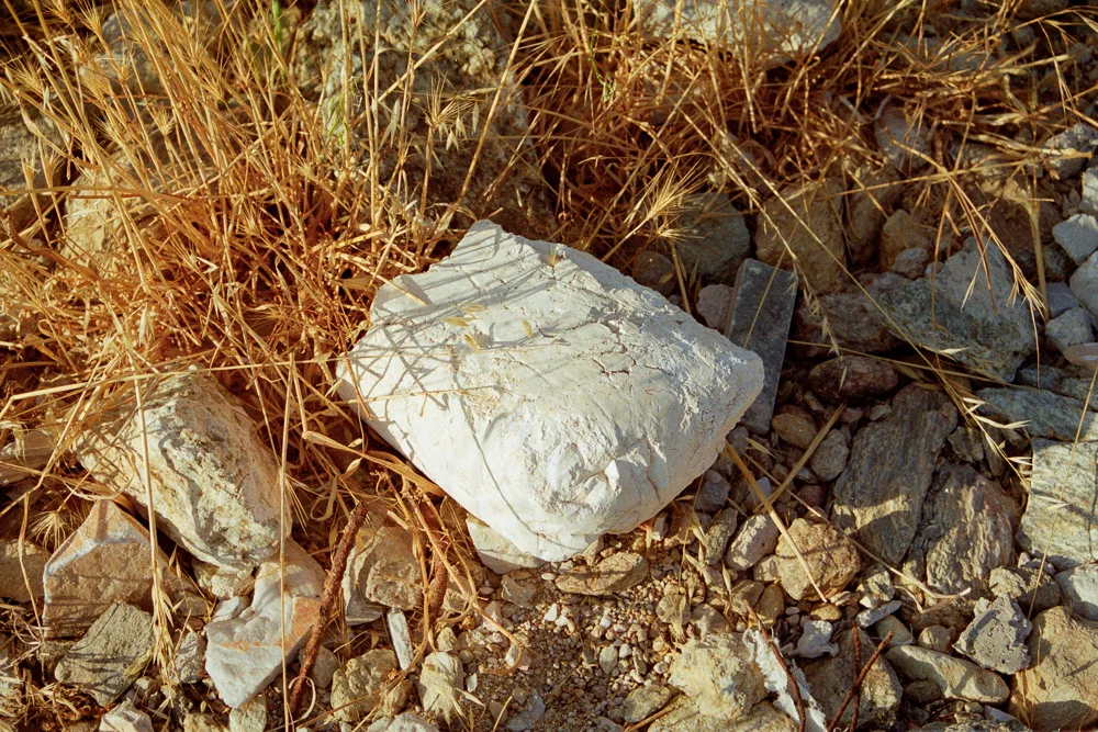 A photograph by Ali Bosworth in the selection Bagrocks