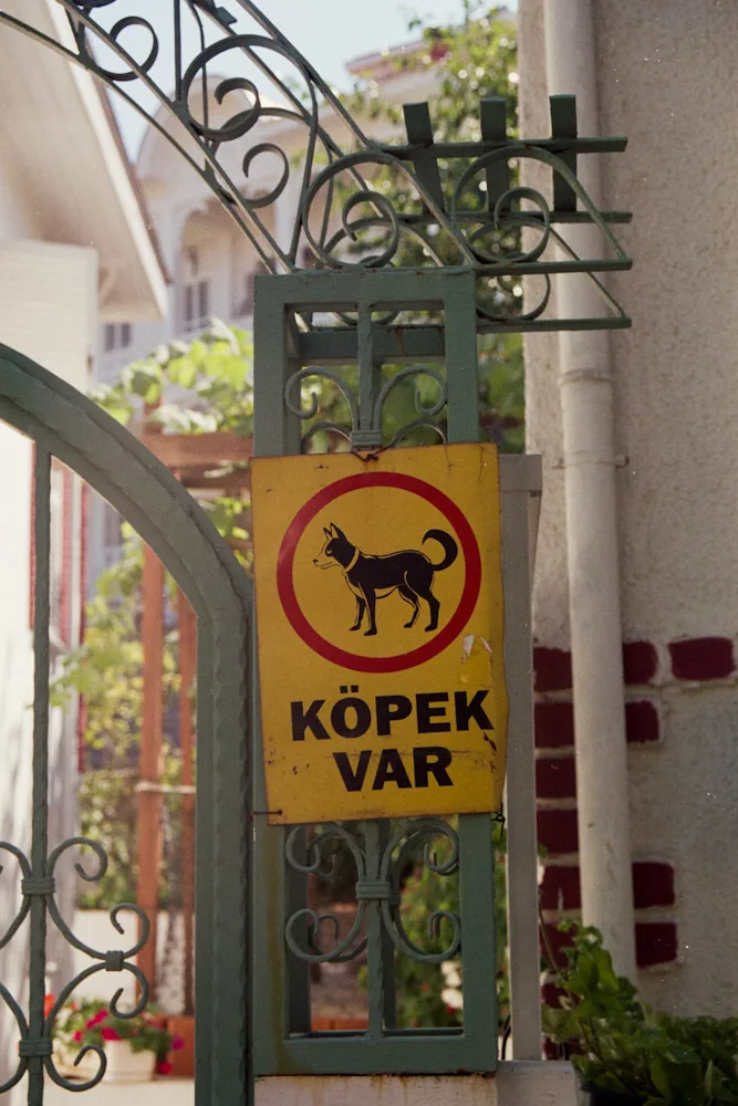A photograph by Ali Bosworth in the selection Istanbul