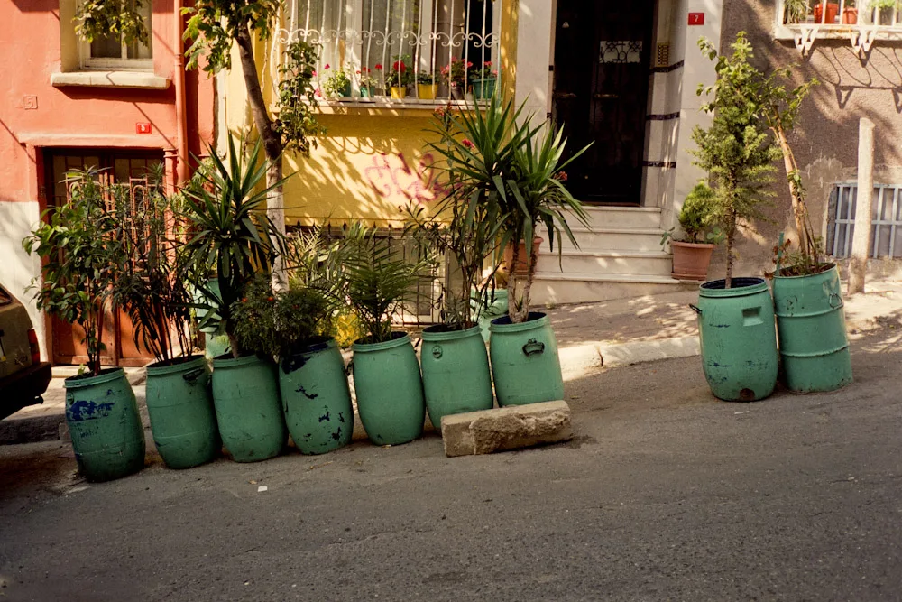 A photograph by Ali Bosworth in the selection Istanbul