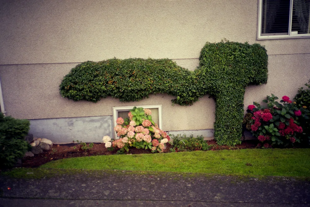 A photograph by Ali Bosworth in the selection Winter 2009