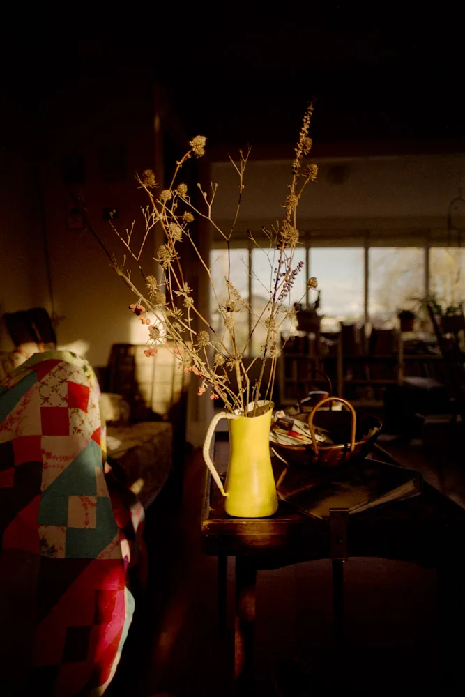 A photograph by Ali Bosworth in the selection Winter 2009
