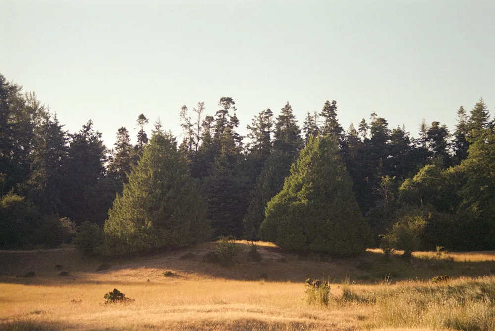 A photograph by Ali Bosworth in the selection Summer 2009
