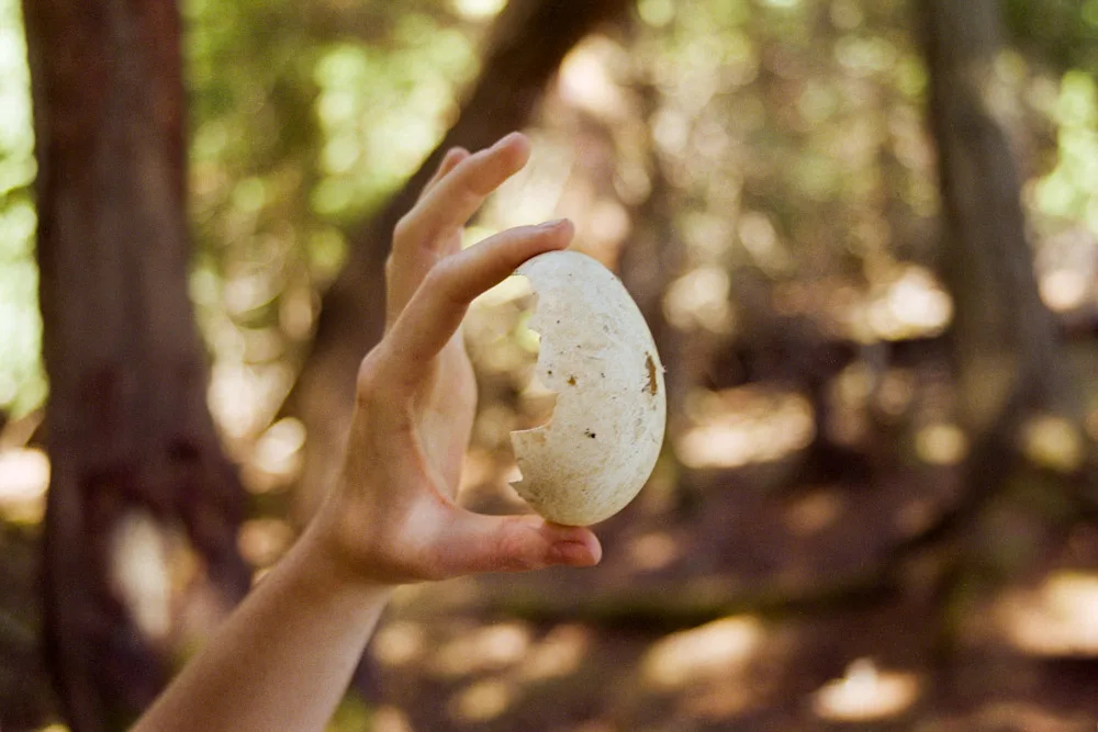 A photograph by Ali Bosworth in the selection Summer 2009