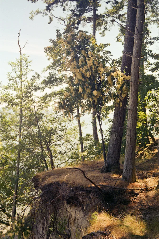 A photograph by Ali Bosworth in the selection Summer 2009