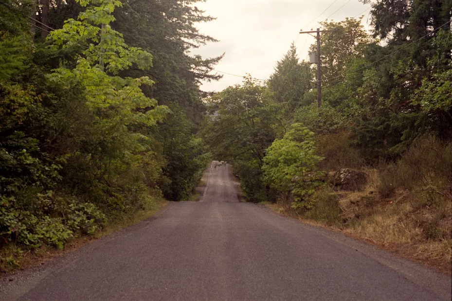 A photograph by Ali Bosworth in the selection Summer 2009
