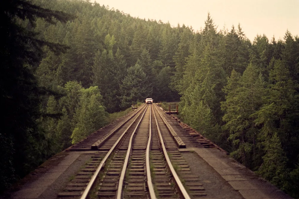 A photograph by Ali Bosworth in the selection Fall 2009