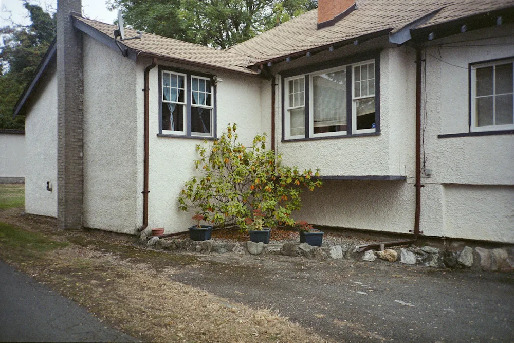 A photograph by Ali Bosworth in the selection Fall 2009