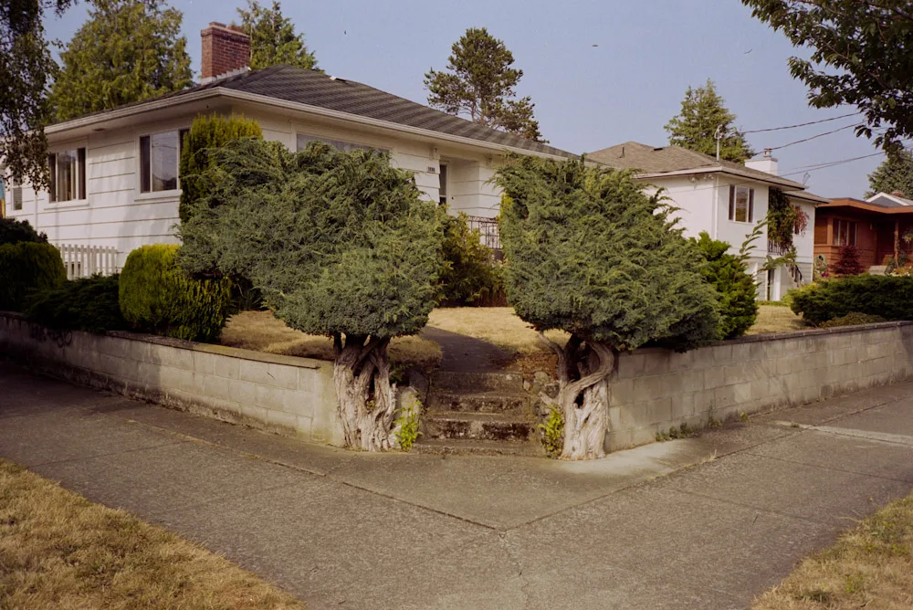 A photograph by Ali Bosworth in the selection Fall 2009