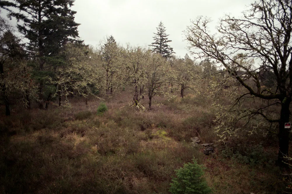 A photograph by Ali Bosworth in the selection Fall 2009