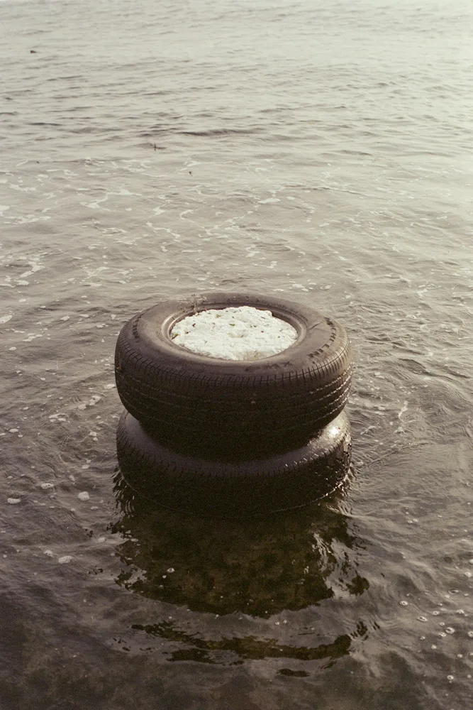 A photograph by Ali Bosworth in the selection Spring 2010