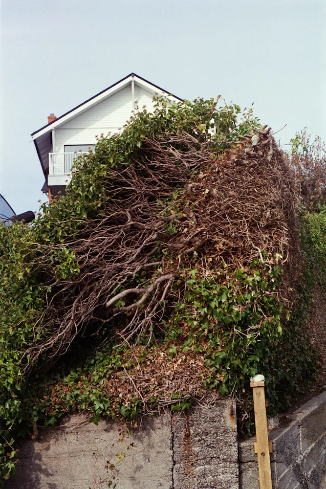 A photograph by Ali Bosworth in the selection Spring 2010