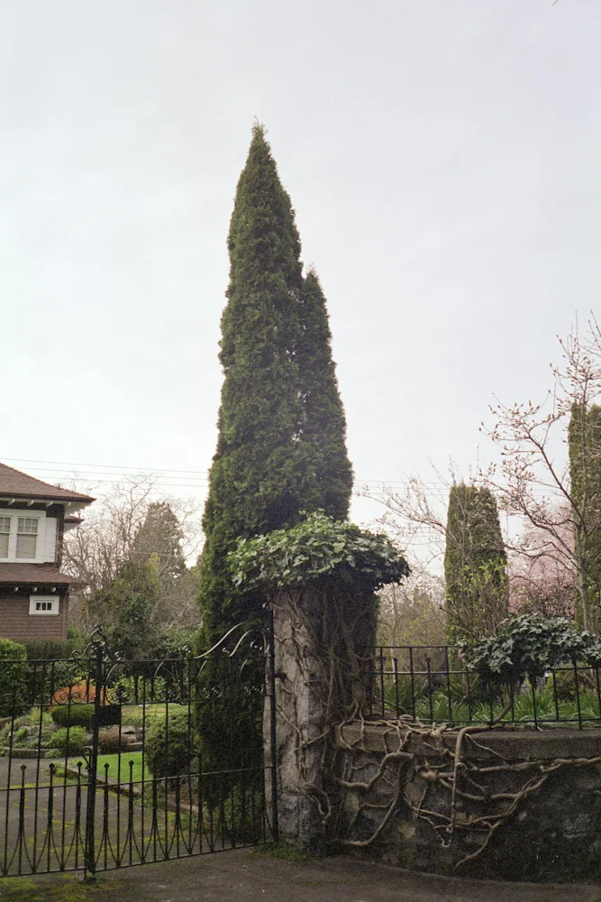 A photograph by Ali Bosworth in the selection Spring 2010