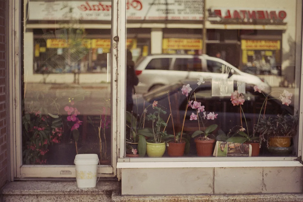A photograph by Ali Bosworth in the selection Montreal