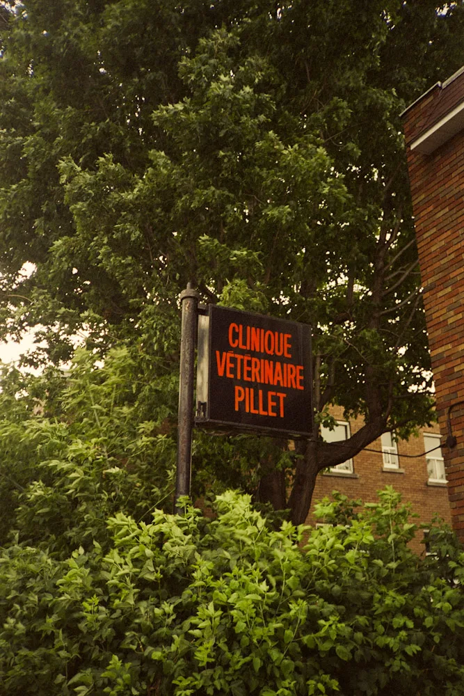 A photograph by Ali Bosworth in the selection Montreal