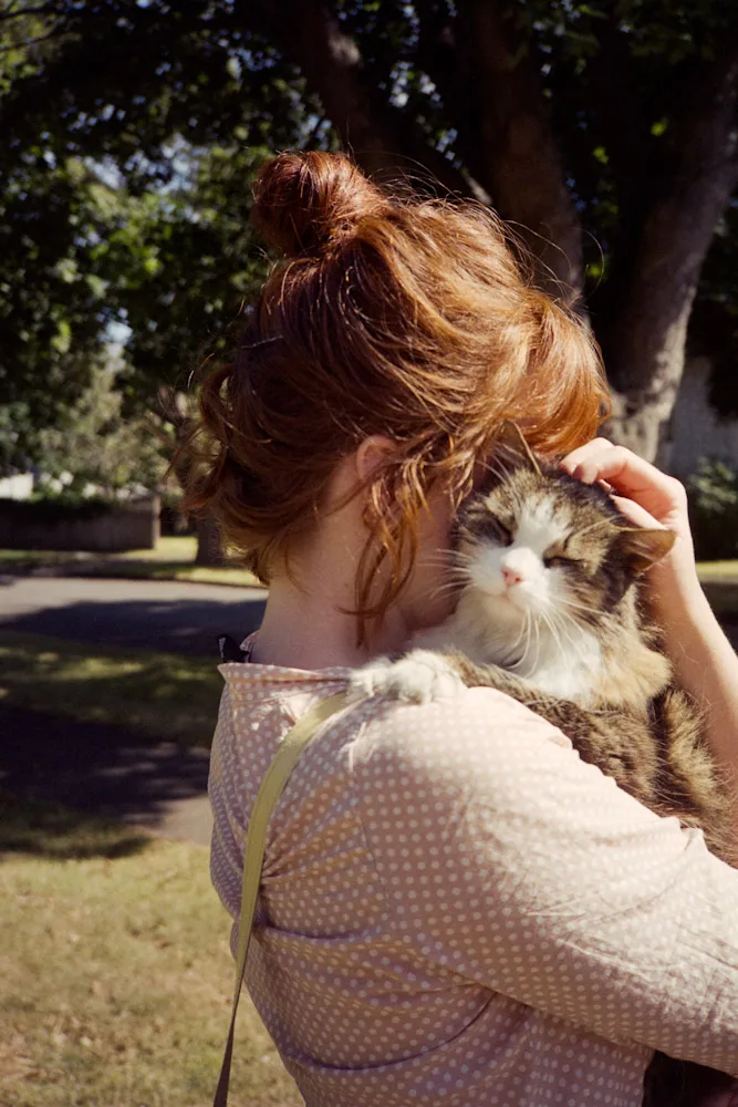 A photograph by Ali Bosworth in the selection Fall 2010