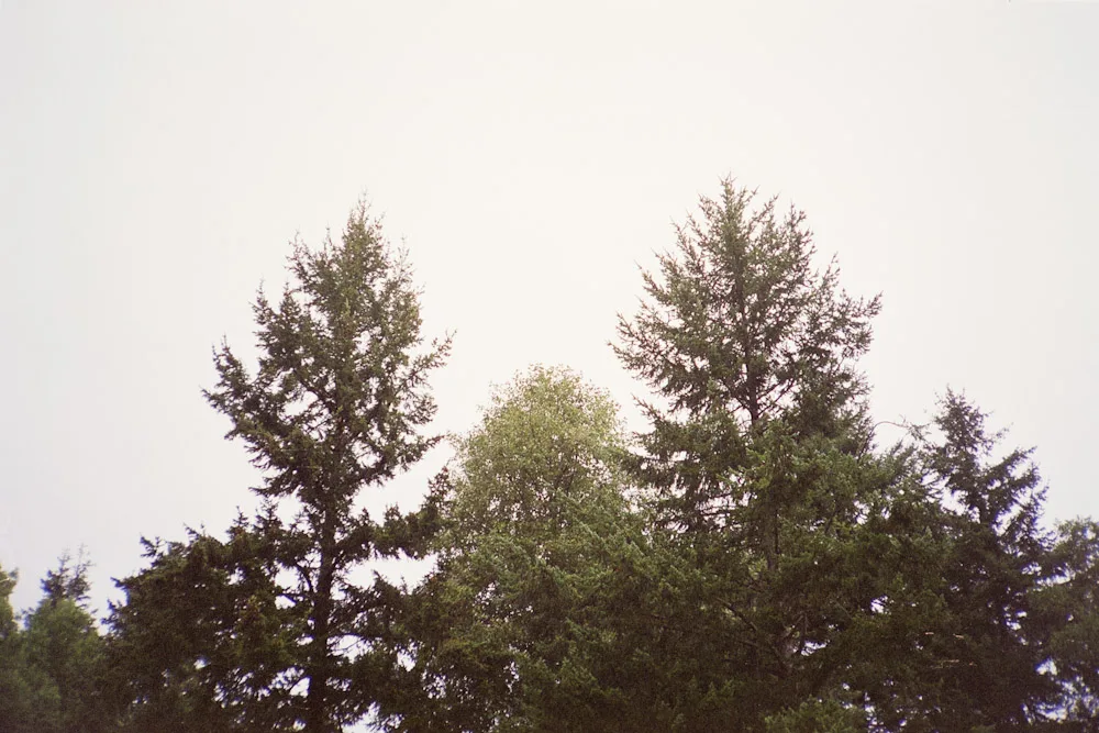 A photograph by Ali Bosworth in the selection Fall 2010
