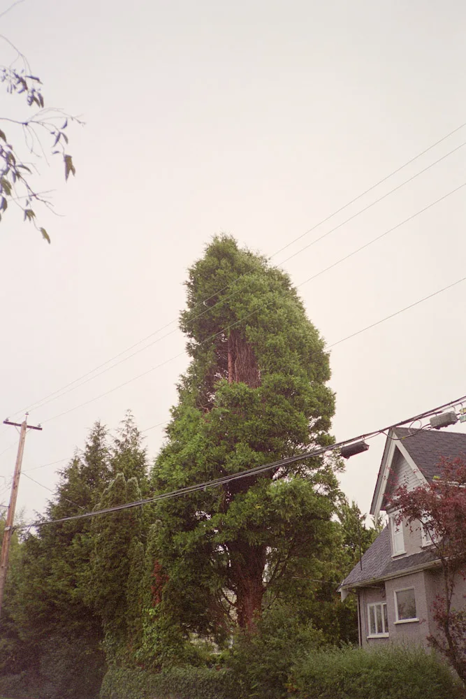 A photograph by Ali Bosworth in the selection Fall 2010