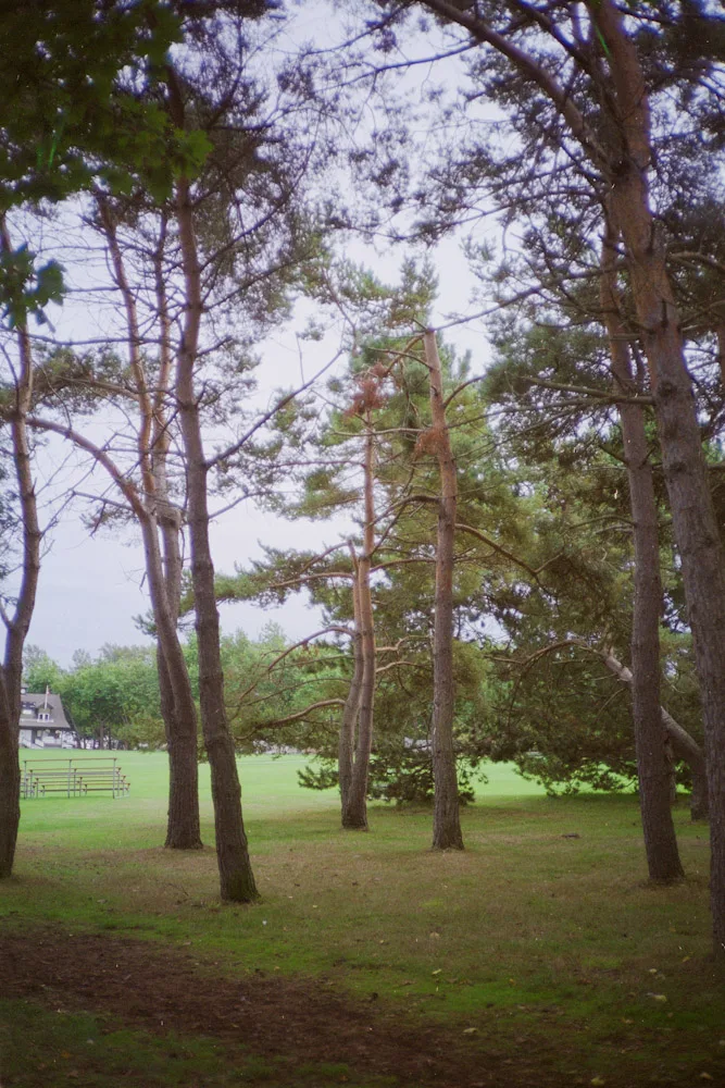 A photograph by Ali Bosworth in the selection Fall 2010
