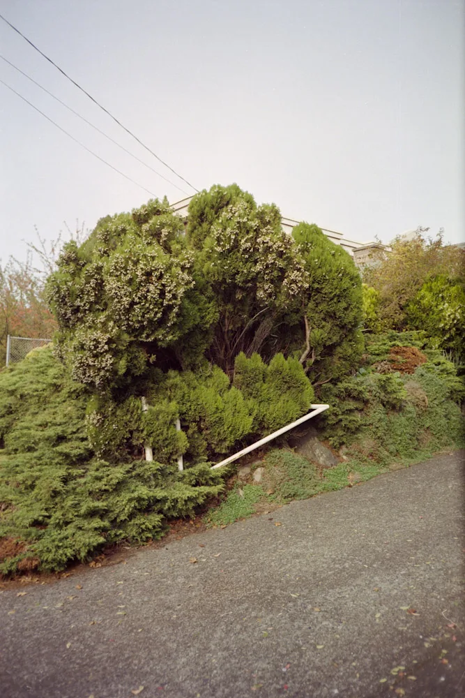 A photograph by Ali Bosworth in the selection Fall 2010