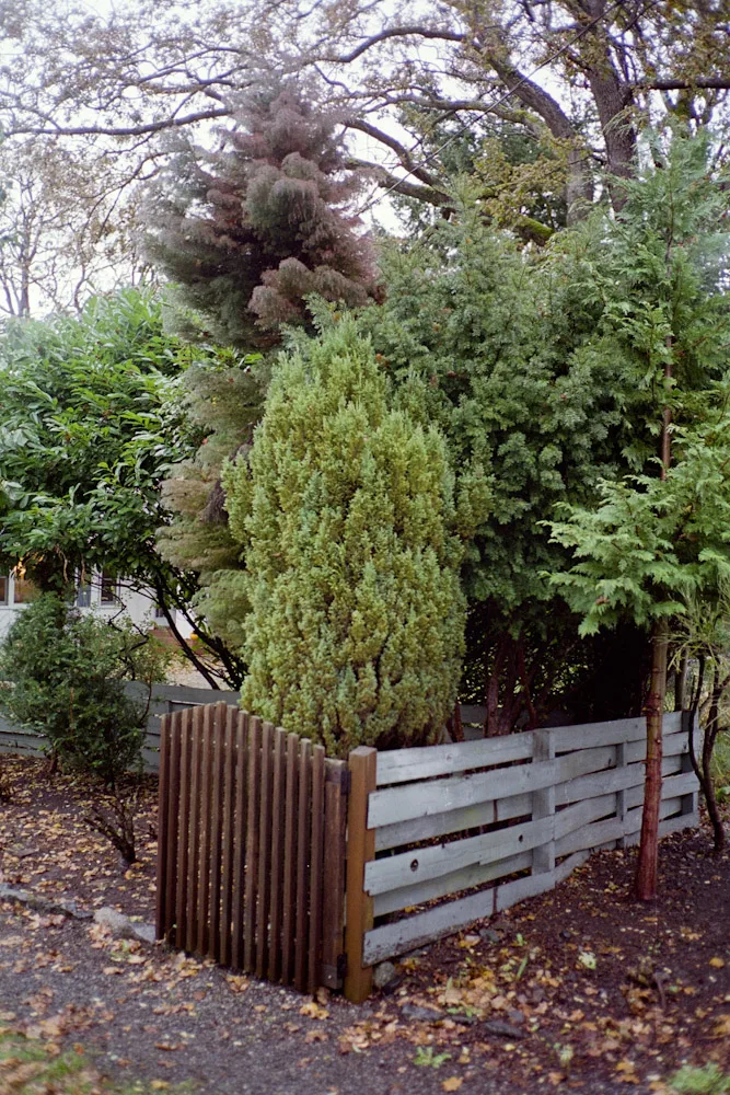 A photograph by Ali Bosworth in the selection Fall 2010