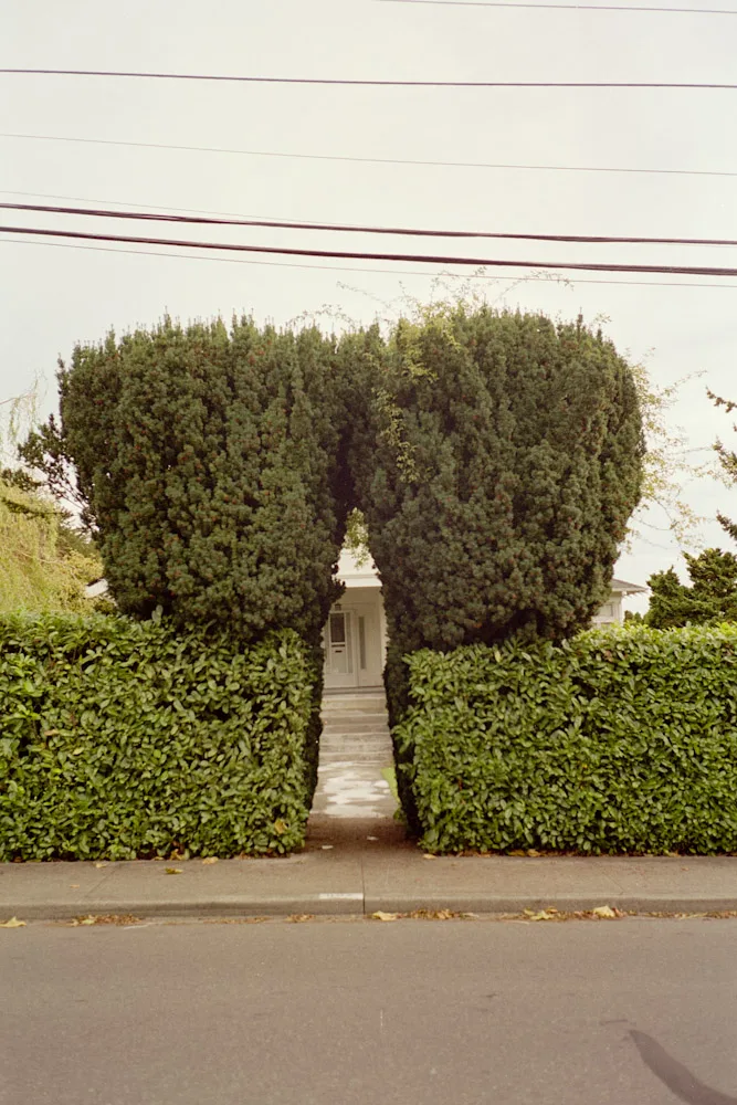 A photograph by Ali Bosworth in the selection Fall 2010