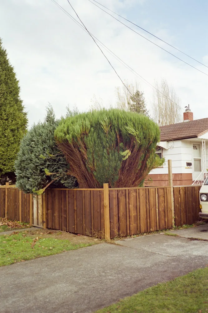 A photograph by Ali Bosworth in the selection Fall 2010