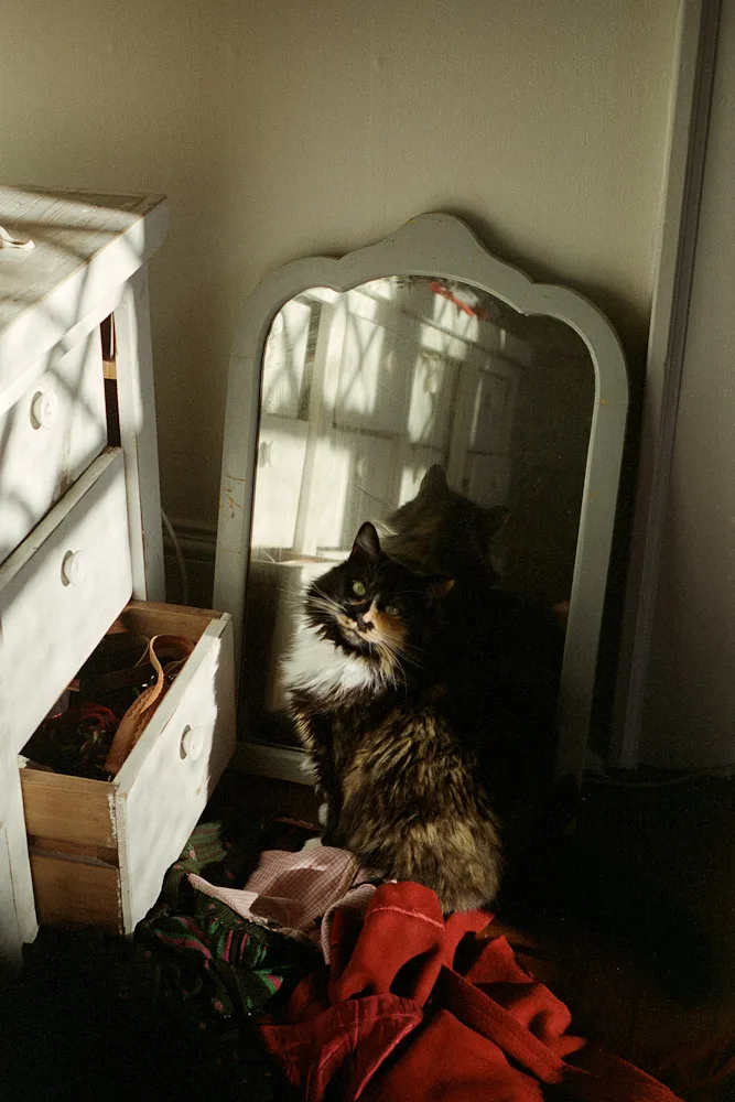 A photograph by Ali Bosworth in the selection Spring 2011