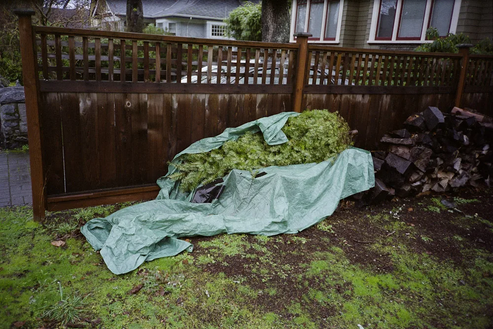 A photograph by Ali Bosworth in the selection Spring 2011