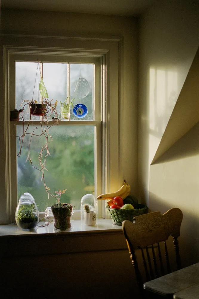 A photograph by Ali Bosworth in the selection Spring 2011