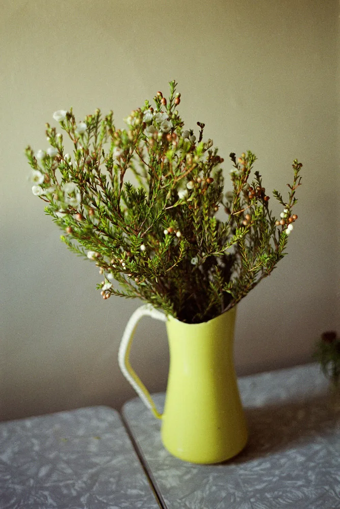 A photograph by Ali Bosworth in the selection Spring 2011