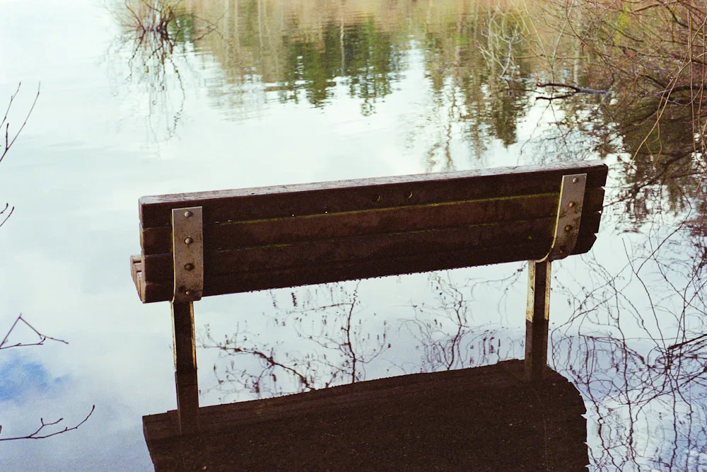 A photograph by Ali Bosworth in the selection Spring 2011