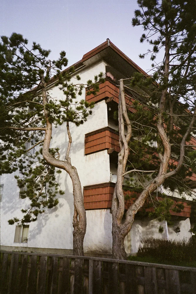 A photograph by Ali Bosworth in the selection Spring 2011