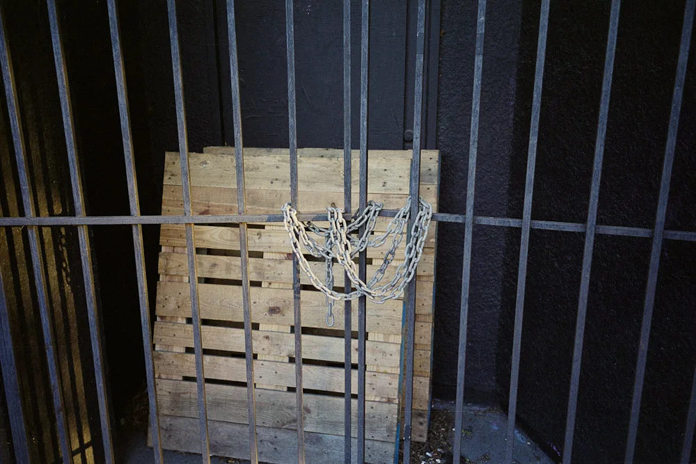 A photograph by Ali Bosworth in the selection Spring 2011