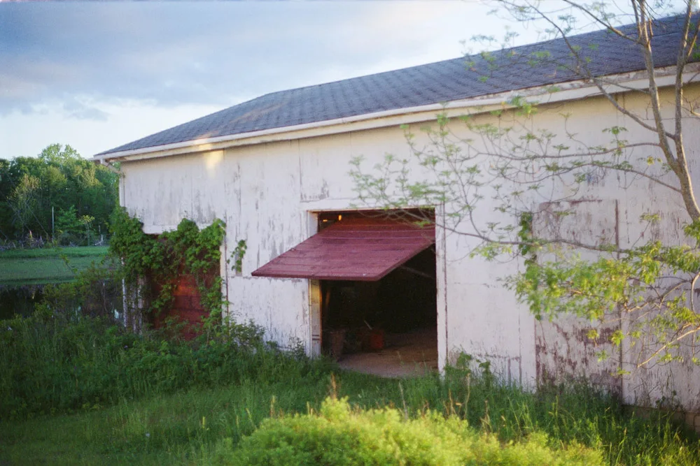 A photograph by Ali Bosworth in the selection NS/NB 2011