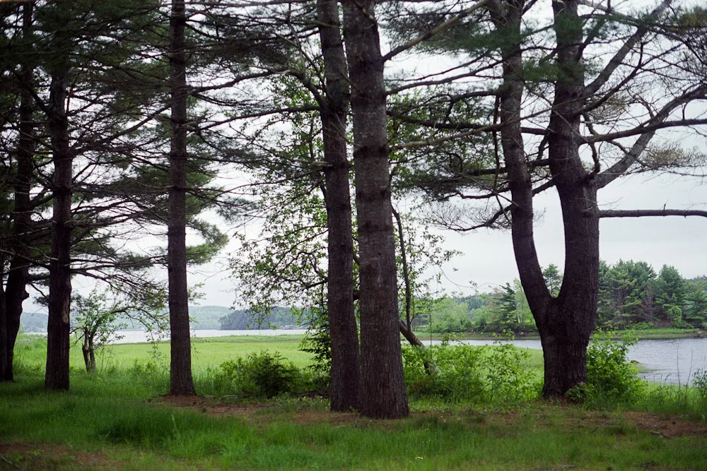 A photograph by Ali Bosworth in the selection NS/NB 2011