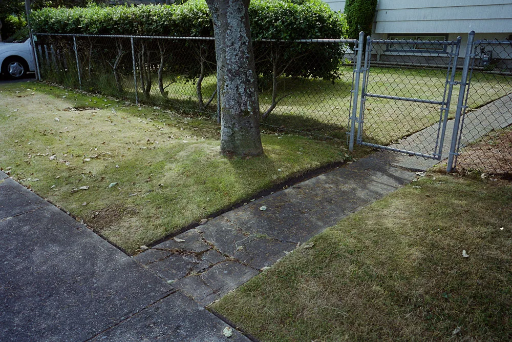 A photograph by Ali Bosworth in the selection Fall 2011