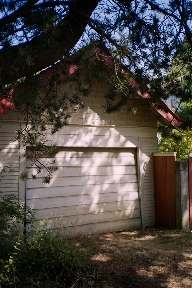 A photograph by Ali Bosworth in the selection Fall 2011