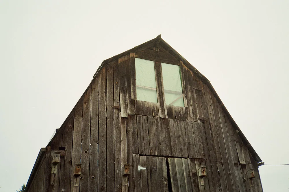 A photograph by Ali Bosworth in the selection Fall 2011