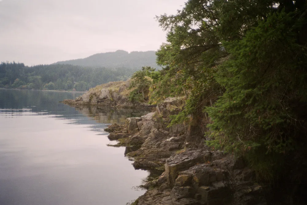 A photograph by Ali Bosworth in the selection Fall 2011