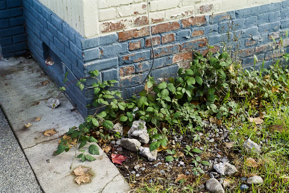 A photograph by Ali Bosworth in the selection Fall 2011